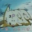 닭발데이 - 거제시 아주로 12 | 닭발데이