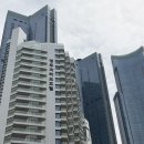 난이꾸꾸 애견미용실 | [해운대구 애견미용실 '몽아띠' 방문기 ] 꼼꼼한 케어로 감동받은 사심가득 리뷰