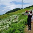 육백마지기 이미지