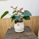 병점역 | 병점역 맛집 면당포 돈까스 오므라이스 후기