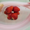 나는야 환경지킴이 | 스타벅스 스프링 실리콘 푸드백 사용후기! 환경과 실용성을 동시에🍓