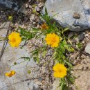 잇츠어뷰티풀데이(Its a Beautiful Day) | 8개의 표준 문장 세우기