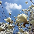 경희누리한의원 이미지