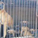 산정농장 이미지