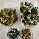 아내의 텃밭 이미지