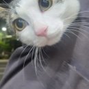 민초헤어