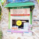 팜카밀레 | 태안 가볼만한곳_ [팜카밀레] 7월 솔직 후기&amp;할인&amp;포토존