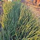 서마루농장 이미지