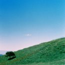 풍전목장 이미지