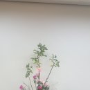 동양 꽃꽂이 이미지