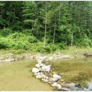 고송민박 이미지