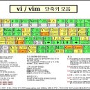 VIM 이미지
