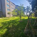 강정동-67 이미지