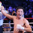 참피온복싱 이미지