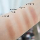 청담골든스페이스 | 예쁜 데일리용 섀도우팔레트: 톰포드 디스코더스트 구매후기 및 dupe비교발색/나스 생폴드방스 등