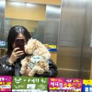 던킨 트레이더스연산점 | 먼뜨민뜨 2월