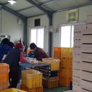 최고집농장 이미지