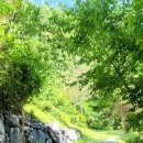 꽃피는산골민박 이미지