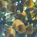 하늘농원1호 이미지