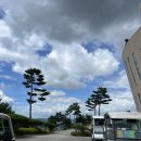 푸른솔 | 푸른솔GC 포천 레이크코스 후기 ⛳️ 코스 관리 좋고 먹거리 잘 나오는 골프장