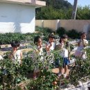 축산항초등학교병설유치원 이미지