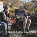 231216 [동물극장 단짝] 빵이와 가수 이효리의 특별한 인연?! | KBS방송 이미지