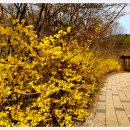 숭덕사(덕성서원) 이미지