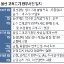 울산고래고기