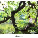 기억의대지 이미지