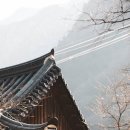 명동사우나 이미지