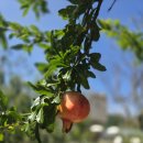 붓꽃섬 관광펜션 | [인천/대청도] 지오갯팃길을 따라 떠난 대청도/백령도 지질학 여행 ① 대청도 편