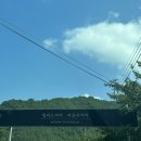 빌라드 아바 이미지