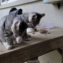 그루밍 타임 이미지