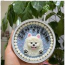 반려동물 케이크만들기 이미지