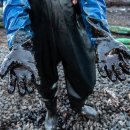 (주)모리셔스 이미지