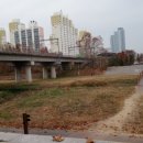 물길복원길2 이미지