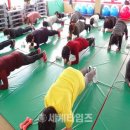 가좌건강생활지원센터 이미지