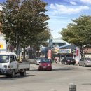 영산포홍어 이미지