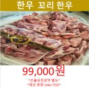 정강축산