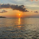 제주수산 | 제주 조천수산 한치회 후기(노을 맛집,애견동반 가능)