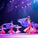 벨리댄스 초급 이미지