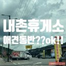 내촌애견 이미지