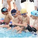 단원체육관 이미지