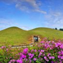 코리아시티 관광호텔 앞 이미지