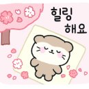 해피버트데이 이미지