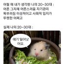 울랄라 - 동대문구 전농로 64 | 울랄라