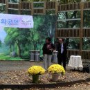 하모니카 (연주자) 이미지