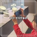 성우사우나 | [부안 여행] 광주 근교 아이랑 가볼만한 부안청자박물관 관람 후기 (feat. 석정온천휴스파)