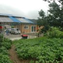 임리목장 이미지