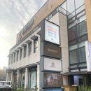 하울팟 케어클럽(분당서현점) | 분당 서현동 애견호텔 추천 하울팟케어클럽 / 반려견 미용과 유치원까지 가능한 곳!